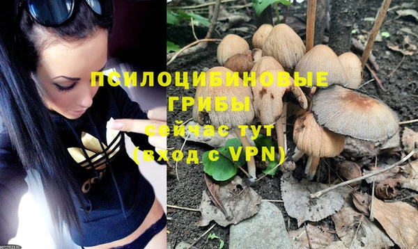 эйфоретик Володарск